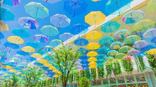 天井に吊るされたたくさんの傘